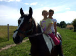 Kinderbetreuung mit Pferden